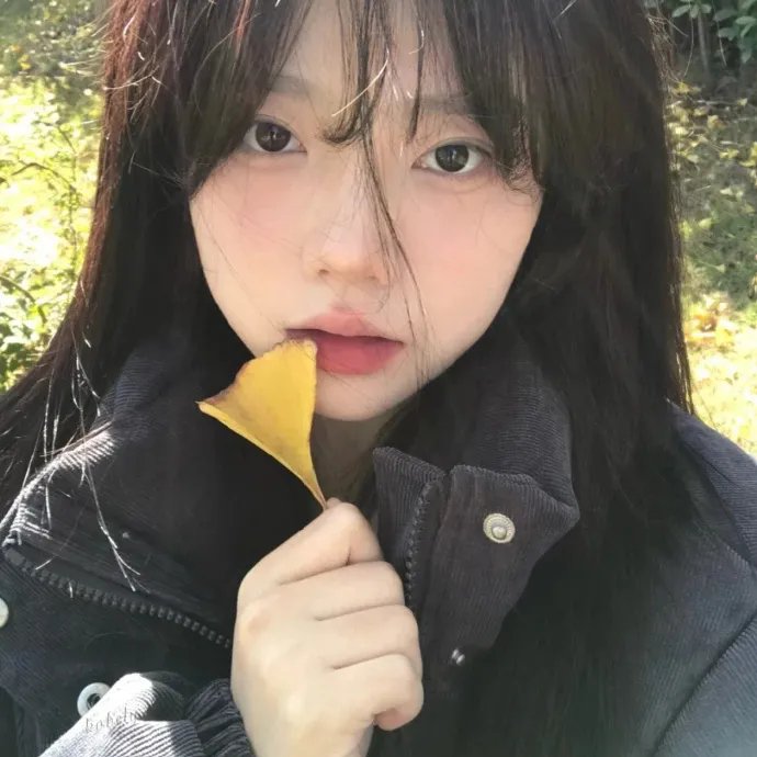 锦鲤重生跑路后前宗门气运崩了