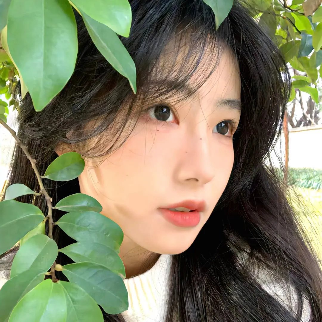 我亲爱的朋友们